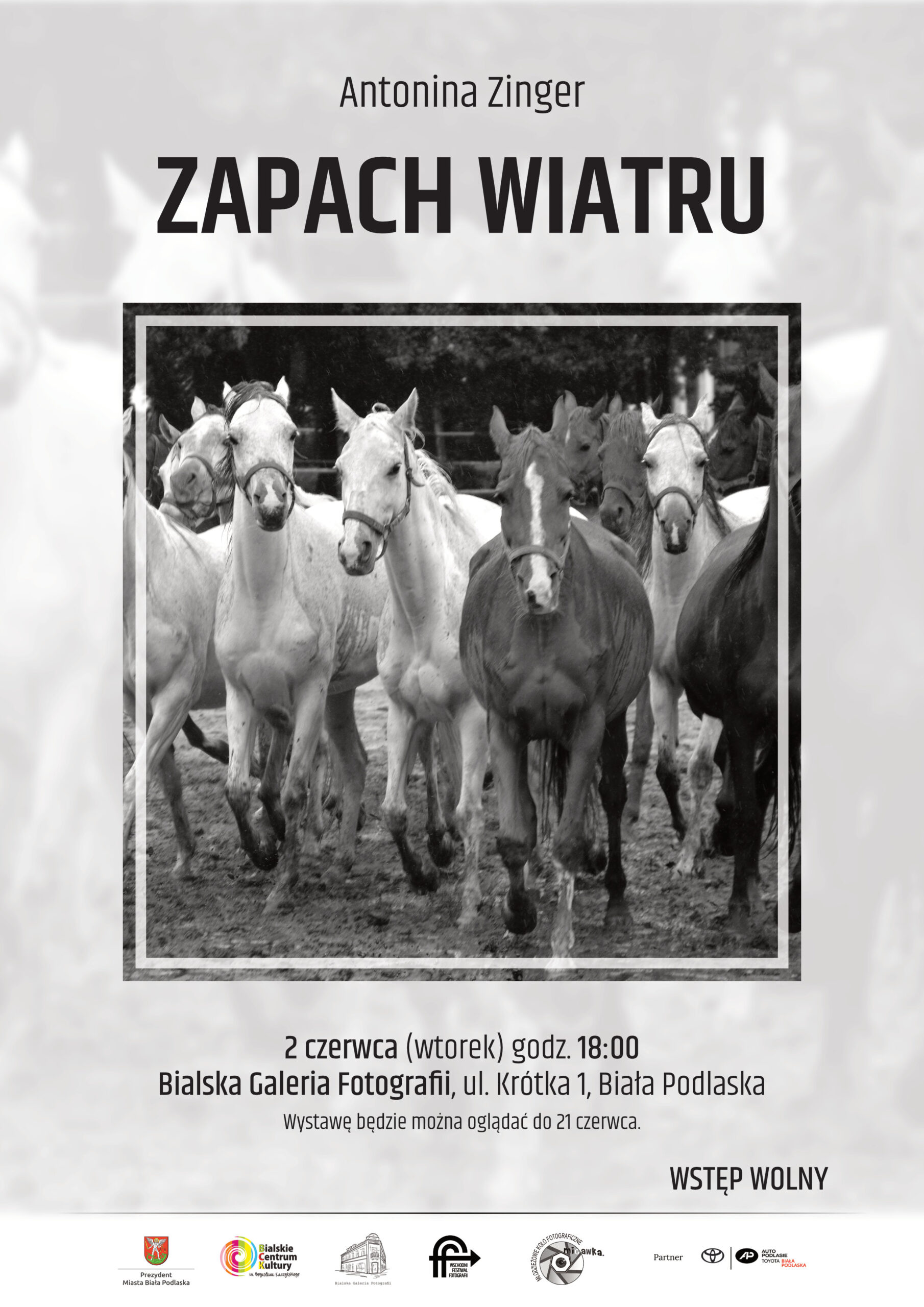 Antonina Zinger – „Zapach wiatru”
